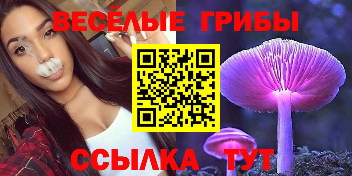 Галлюциногенные грибы Psilocybine cubensis  Вход с VPN  Ипатово 